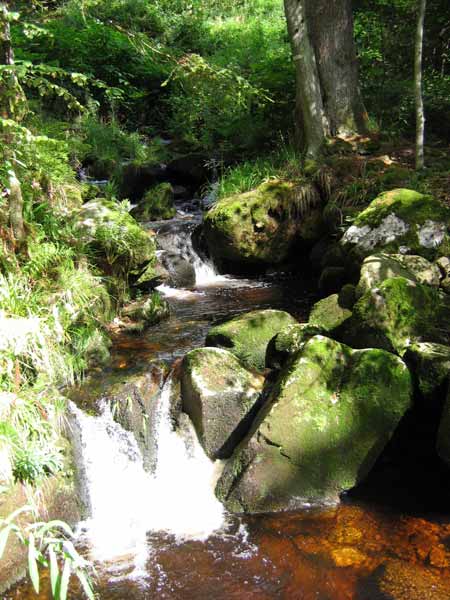 cascade