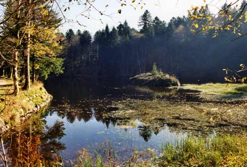 Lac des vosges