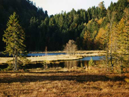 lac de montagne